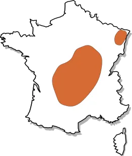 Zone de production du douglas