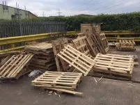 Les palettes en bois