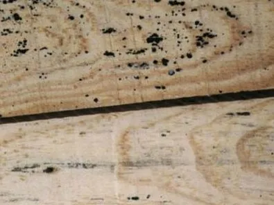 Connaître l'état du bois