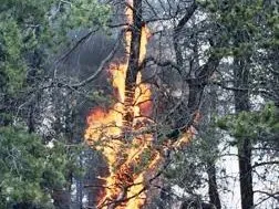 Le feu - Les variations climatiques - Le soleil